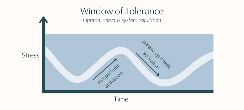 graph of nervous system activation within a window of tolerance